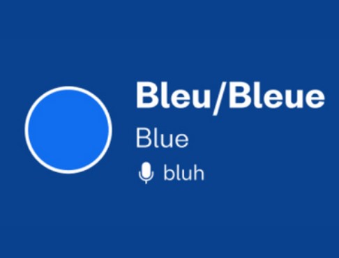 come si dice blu in francese